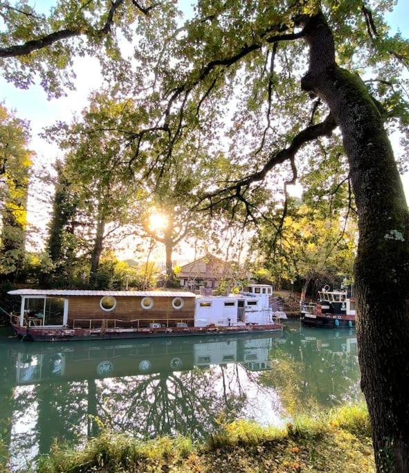 Insolite Peniche Amazonie Canal Du Midi Gardouch Buitenkant foto